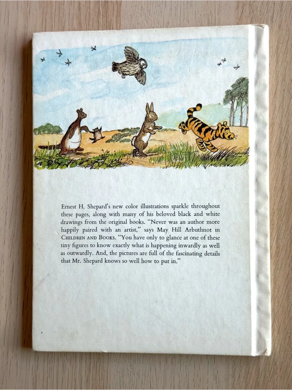 The Pooh Storybook | Hardcover A. A. Milne Vintage Baby Nursery Decor Excellent